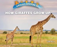 cover of the book How Giraffes Grow Up