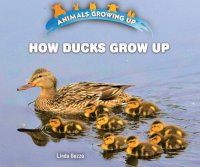 cover of the book How Ducks Grow Up