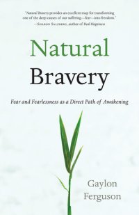 cover of the book Natural Bravery: Fear and Fearlessness as a Direct Path of Awakening