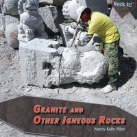 cover of the book Granite and Other Igneous Rocks