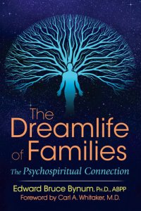 cover of the book The Dreamlife of Families: The Psychospiritual Connection