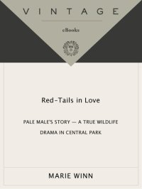 cover of the book Red-Tails in Love: Pale Male's Story - A True Wildlife Drama in Central Park