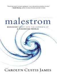 cover of the book Malestrom: Manhood Swept into the Currents of a Changing World