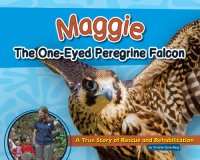 cover of the book Maggie the One-Eyed Peregrine Falcon: A True Story of Rescue and Rehabilitation