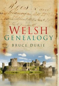 cover of the book Welsh Genealogy