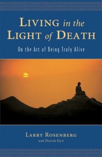 cover of the book Living in the Light of Death: On the Art of Being Truly Alive