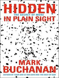 cover of the book Hidden in Plain Sight: The Secret of More