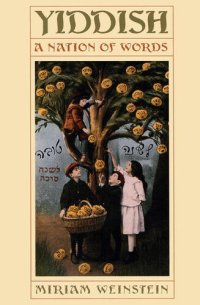 cover of the book Yiddish: A Nation of Words