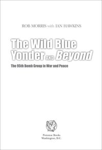 cover of the book The Wild Blue Yonder and Beyond: The 95th Bomb Group in War and Peace