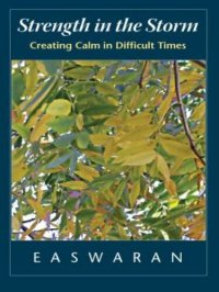 cover of the book Strength in the Storm: Creating Calm in Difficult Times