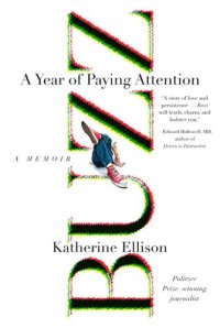 cover of the book Buzz: A Year of Paying Attention