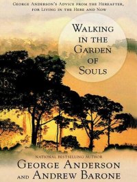 cover of the book Walking in the Garden of Souls