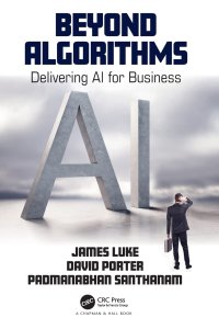 cover of the book Beyond Algorithms: Delivering AI for Business