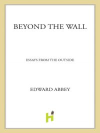 cover of the book Beyond the Wall: Essays from the Outside