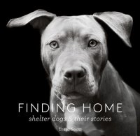 cover of the book Finding Home: Shelter Dogs and Their Stories