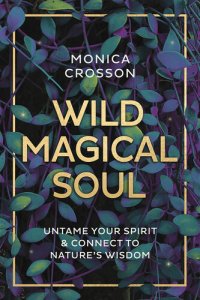 cover of the book Wild Magical Soul: Untame Your Spirit & Connect to Nature's Wisdom