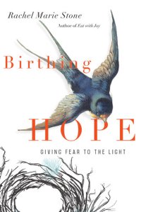 cover of the book Birthing Hope: Giving Fear to the Light