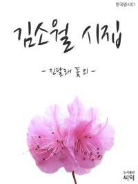 cover of the book 김소월시집