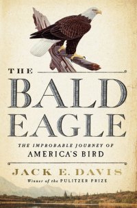 cover of the book The Bald Eagle: The Improbable Journey of America's Bird