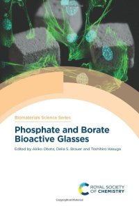 cover of the book Phosphate and Borate Bioactive Glasses