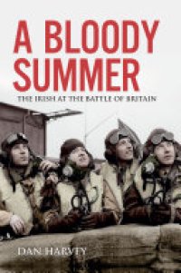 cover of the book A Bloody Summer: The Irish at the Battle of Britain