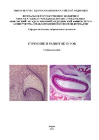 cover of the book Строение и развитие зубов: учебное пособие