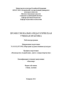 cover of the book Профессионально-педагогическая учебная практика: рабочая программа по направлению подготовки 51.03.02 (071500) "Народная художественная культура", профилю подготовки "Руководство студией кино-, фото- и видеотворчества"