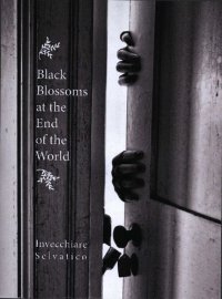 cover of the book Black Blossoms at the End of the World