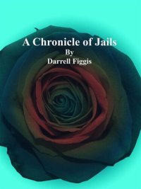 cover of the book A Chronicle of Jails