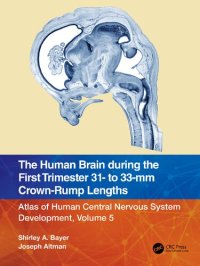 cover of the book The Human Brain during the First Trimester 31- to 33-mm Crown-Rump Lengths