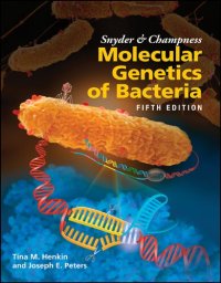 cover of the book Snyder and Champness Molecular Genetics of Bacteria (ASM Books)