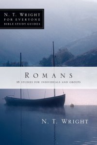 cover of the book Romans