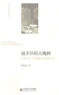 cover of the book 说不尽的大槐树: 祖先记忆、家园象征与族群历史