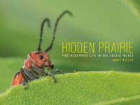 cover of the book Hidden Prairie: Photographing Life in One Square Meter