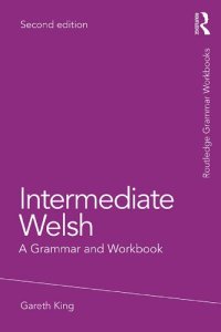 cover of the book Intermediate Welsh: A Grammar and Workbook