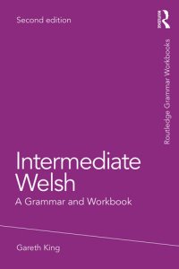 cover of the book Intermediate Welsh: A Grammar and Workbook