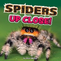 cover of the book Spiders Up Close