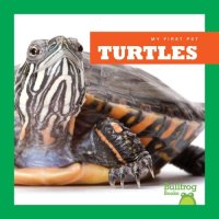 cover of the book Turtles