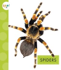 cover of the book Spiders