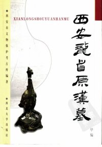 cover of the book 西安龙首原汉墓