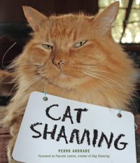 cover of the book Cat Shaming