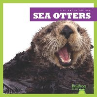 cover of the book Sea Otters