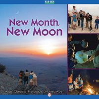 cover of the book New Month, New Moon