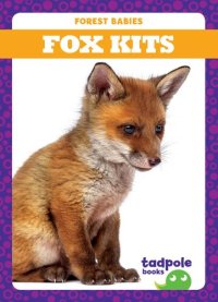 cover of the book Fox Kits