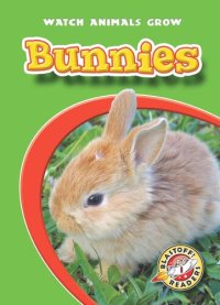 cover of the book Bunnies