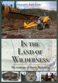 cover of the book In the Land of Wilderness: The writings of Marty Meierotto