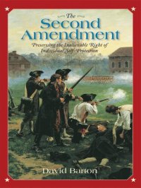 cover of the book The Second Amendment: Preserving the Inalienable Right of Individual Self-Protection