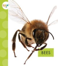 cover of the book Bees