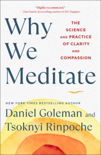 cover of the book Why We Meditate : The Science and Practice of Clarity and Compassion