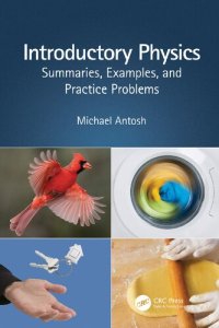 cover of the book Introductory Physics: Summaries, Examples, and Practice Problems